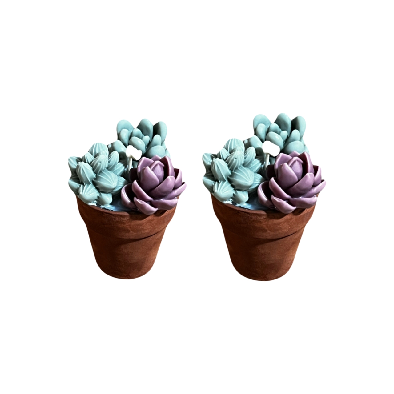 شمع مدل گلدان کاکتوس بسته 2 عددی