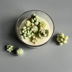 شمع کاکتوس مدل کاسه ایی