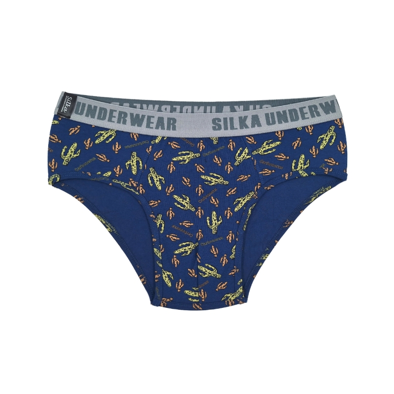 شورت اسلیپ مردانه سیلکا طرح کاکتوس کد 1992