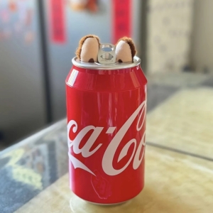 اسباب بازی شانسی مدل کوکاکولا سکرت