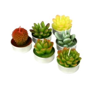 شمع وارمری مدل کاکتوس بسته 6 عددی