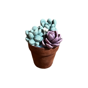 شمع مدل گلدان کاکتوس بسته 2 عددی