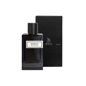 اکستریت پرفیوم مردانه برندینی Brandini مدل Spirito حجم 90 میلی لیتر