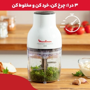 خردکن مولینکس مدل dj520