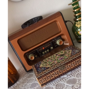 رادیو گولون مدل RX-BT88