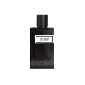 اکستریت پرفیوم مردانه برندینی Brandini مدل Spirito حجم 90 میلی لیتر
