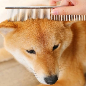 شانه سگ و گربه کد 028