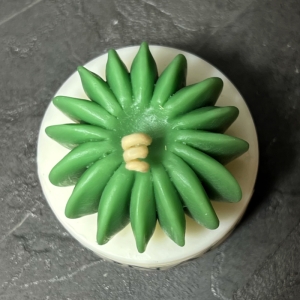 شمع مدل کاپ کاکتوس بسته 2 عددی