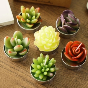 شمع وارمری مدل کاکتوس بسته 6 عددی