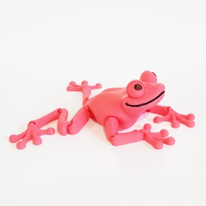 اکشن فیگور مدل قورباغه