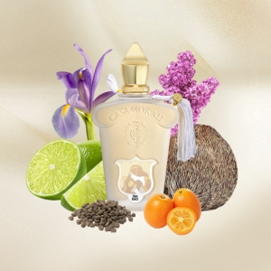 ادوپرفیوم زنانه هارد باکس کازاموراتی مدل داما بیانکا حجم 100 میلی لیتر