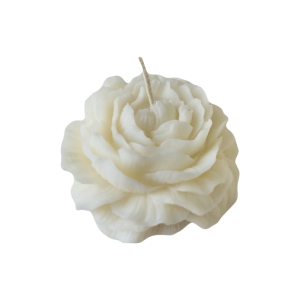 قالب سیلیکونی مدل گل آلاله