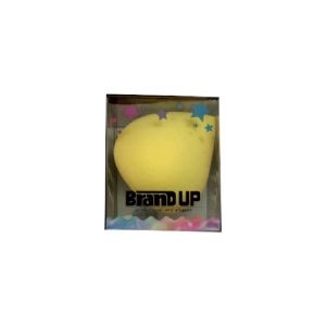 بلندر آرایشی صورت برندآپ