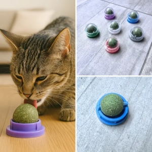 آبنبات دیواری گربه با طعم کت نیپ بسته ۳ عددی