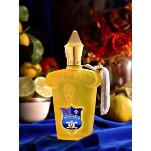 ادو پرفیوم مردانه زنانه هارد باکس کازاموراتی مدل دولچه آمالفی حجم 100 میلی لیتر