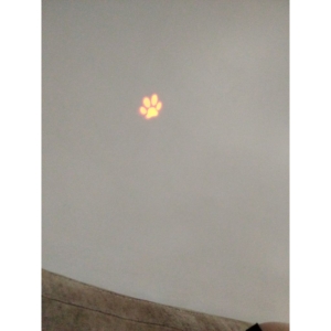 اسباب بازی گربه مدل لیزر 6 حالته