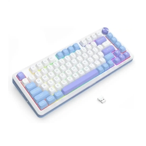 کیبورد  مکانیکال گیمینگ ردراگون Cyrus PRO K681 WBP