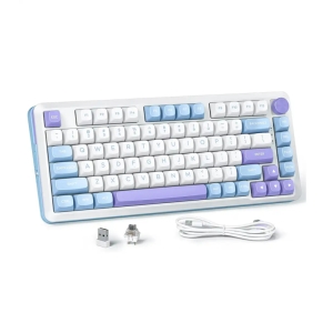 کیبورد  مکانیکال گیمینگ ردراگون Cyrus PRO K681 WBP