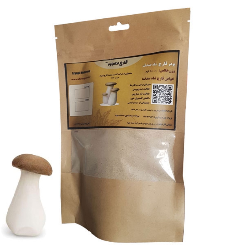 پودر قارچ شاه صدف 100 گرمی