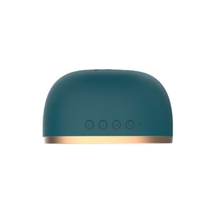 اسپیکر بلوتوث رسی مدل  RSK-W10
