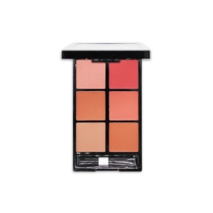 پالت رژ گونه رمانتیک برد مدل 6B V-Face Beauty Looks کد B