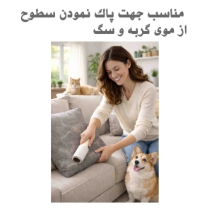 سری پرزگیر لباس رولینو مدل رولی مجموعه 2 عددی