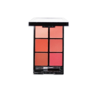 پالت رژ گونه رمانتیک برد مدل 6B V-Face Beauty Looks کد C