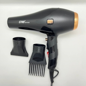 سشوار حرفه ای جی دبلیو مدل GW-6529
