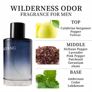 عطر ادکلن مردانه BEIYIGE PARIS بی‌ییگه پاریس حجم 50 میل