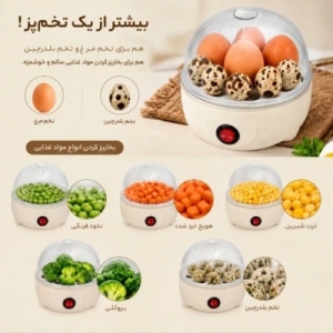 تخم مرغ پز مدل PZET-23 با ظرفیت 6 عدد تخم مرغ