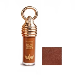 لیپ گلاس مینی تانگو مدل BIG LIP PLUMP GASM شماره 06