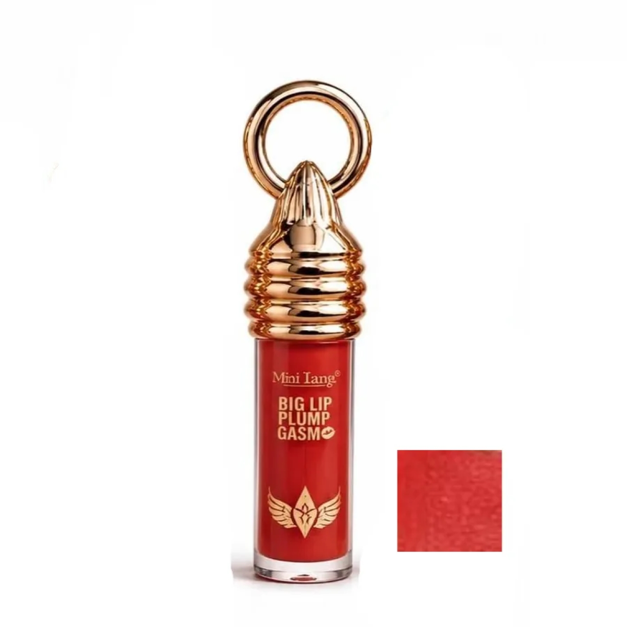 لیپ گلاس مینی تانگو مدل BIG LIP PLUMP GASM شماره 05